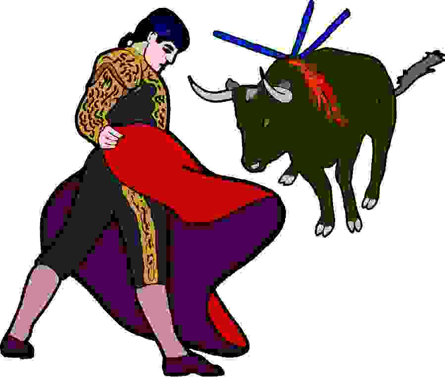 Toros